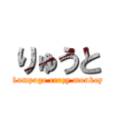 りゅうと (Rampage crazy monkey)