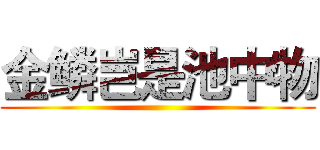 金鳞岂是池中物 ()