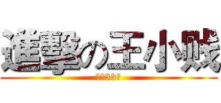 進擊の王小贱 (失恋33天)