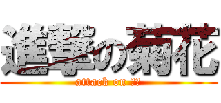 進撃の菊花 (attack on 大濕)