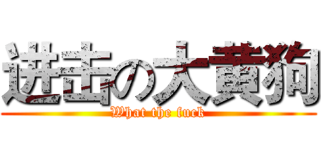 进击の大黄狗 (What the fuck)