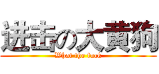 进击の大黄狗 (What the fuck)