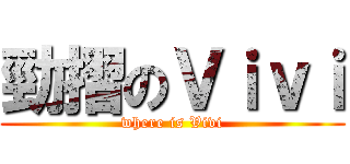 勁摺のＶｉｖｉ (where is Vivi)