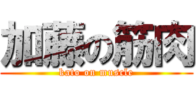 加藤の筋肉 (kato on muscle)
