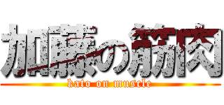 加藤の筋肉 (kato on muscle)