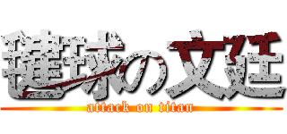 毽球の文廷 (attack on titan)