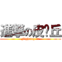 進撃の皮卡丘 (Fighting !!!)