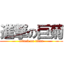 進撃の巨菊 (attack on titan)