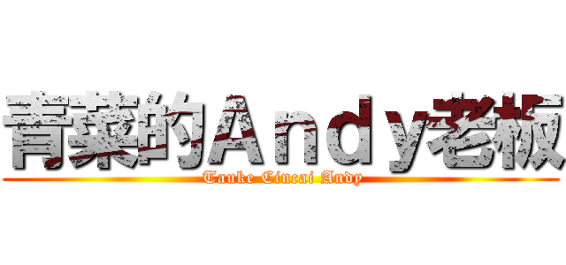 青菜的Ａｎｄｙ老板 ( Tauke Cincai Andy)