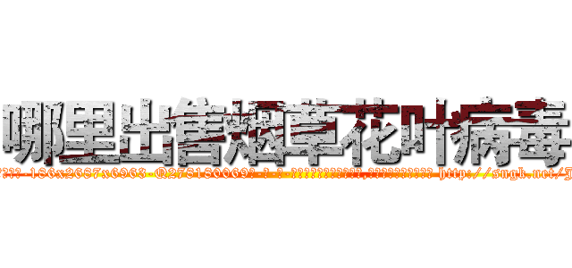 哪里出售烟草花叶病毒 (哪里出售烟草花叶病毒【电-186x2687x6963-Q278180069元-吉-药-业】我们做的是长期生意,靠的是老客户长期支持 http://sngk.net/J9umv1
)
