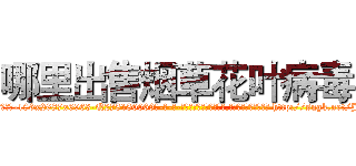 哪里出售烟草花叶病毒 (哪里出售烟草花叶病毒【电-186x2687x6963-Q278180069元-吉-药-业】我们做的是长期生意,靠的是老客户长期支持 http://sngk.net/J9umv1
)