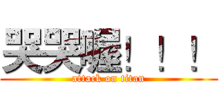 哭哭喔！！！ (attack on titan)
