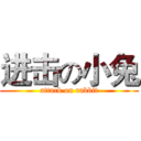 进击の小兔 (attack on rabbit)