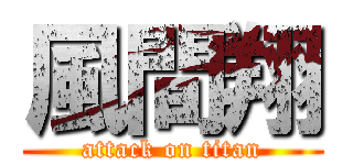 風間翔 (attack on titan)