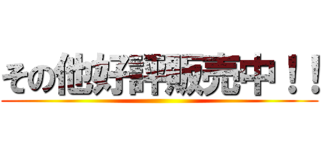 その他好評販売中！！ ()