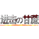 进击の甘蔗 (attack on titan)