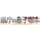 県庁の息子坂本 (son of kencho)