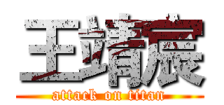 王靖宸 (attack on titan)
