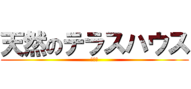 天然のテラスハウス (大井光)