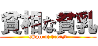 貧相な貧乳 (small of breast)