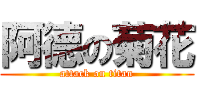 阿德の菊花 (attack on titan)