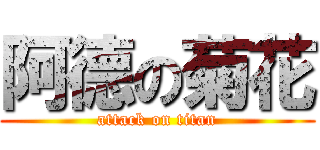 阿德の菊花 (attack on titan)