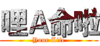 哩Ａ命啦 (Your Life)