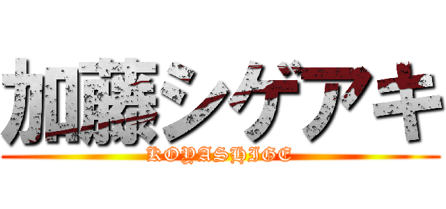 加藤シゲアキ (KOYASHIGE)