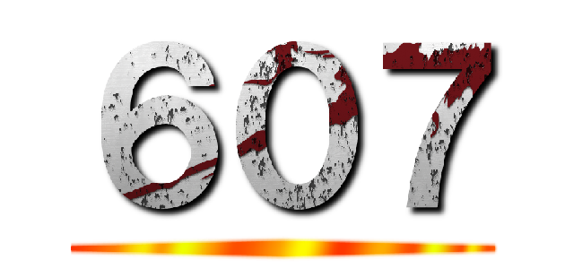 ６０７ ()
