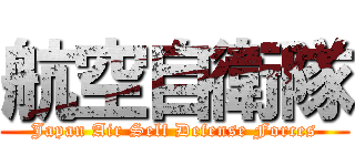 航空自衛隊 (Japan Air Self Defense Forces)