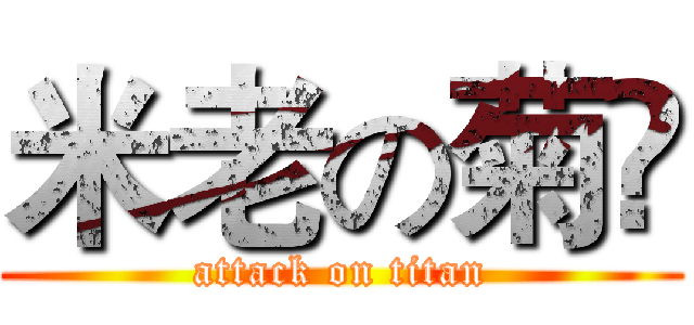 米老の菊҉ (attack on titan)