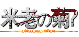 米老の菊҉ (attack on titan)