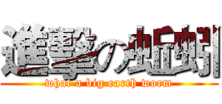 進擊の蚯蚓 (what a big earth worm)