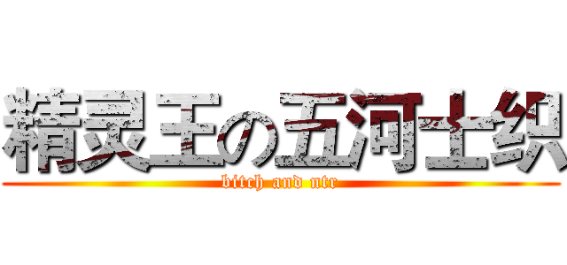 精灵王の五河士织 (bitch and ntr)