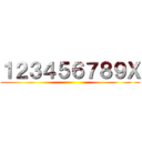 １２３４５６７８９Ｘ ()