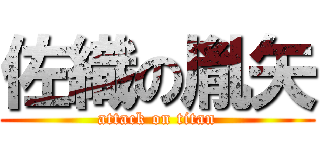 佐織の胤矢 (attack on titan)