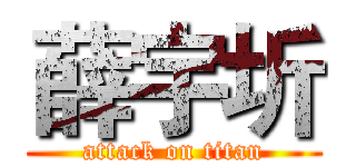 薛宇圻 (attack on titan)