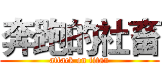 奔跑的社畜 (attack on titan)