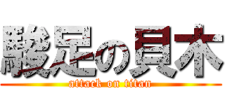 駿足の貝木 (attack on titan)
