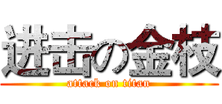 进击の金枝 (attack on titan)