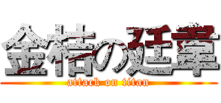 金桔の廷韋 (attack on titan)