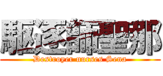 駆逐師聖那 (Destroyer nurses Sena)