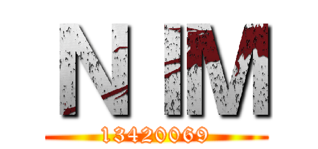 ＮＩＭ (13420069)