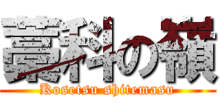 藁科の嶺 (Kosetsu shitemasu)