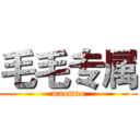 毛毛专属 (maomao)