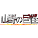 山野の巨怪 (attack on titan)