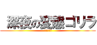  深夜の変態ゴリラ (ＴＵＩＨＡＩ)