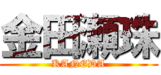 金田瀬珠 (KANEDA)
