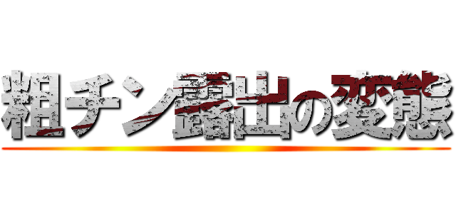 粗チン露出の変態 ()