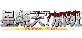 星期天还加班 (FUXK IS FUXK)